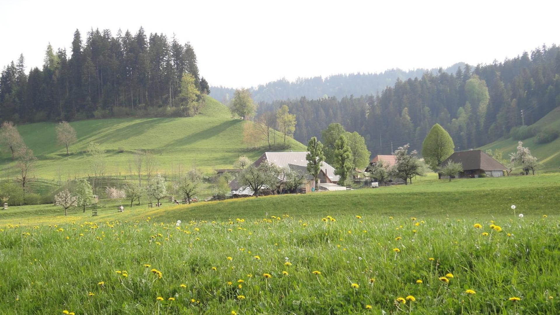 Landgasthof-Hotel Adler Langnau Exteriér fotografie